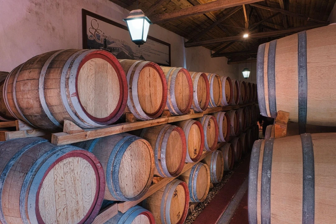 Quinta T20 para Venda em Nossa Senhora das Misericordias Foto 26