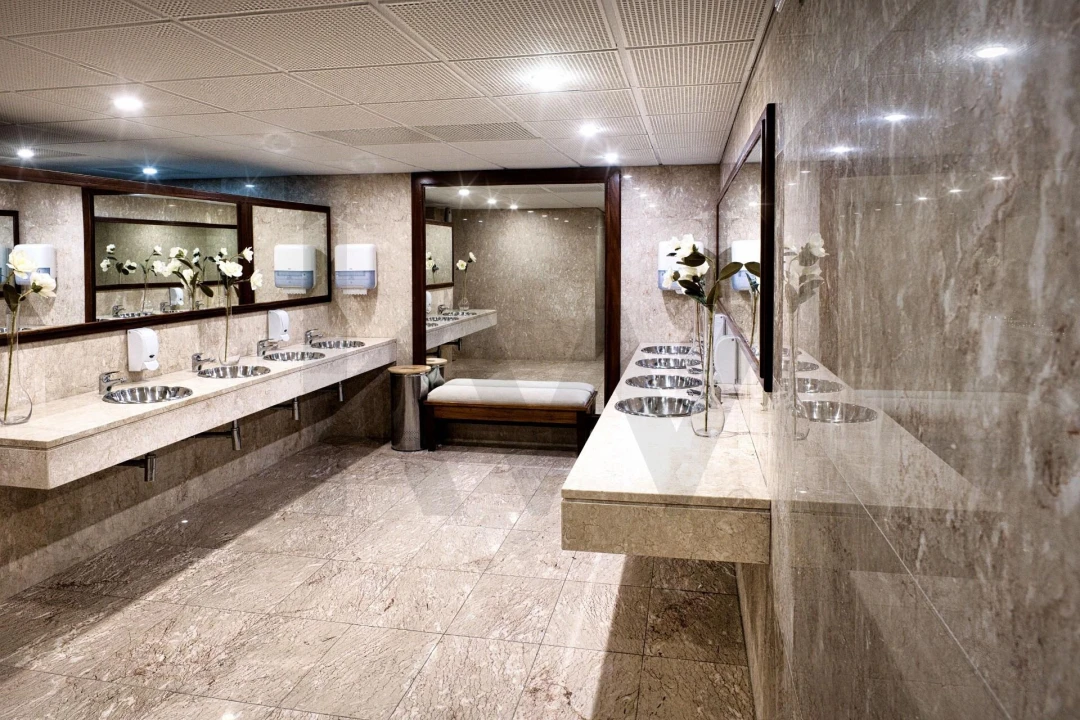 Quinta T20 para Venda em Nossa Senhora das Misericordias Foto 55