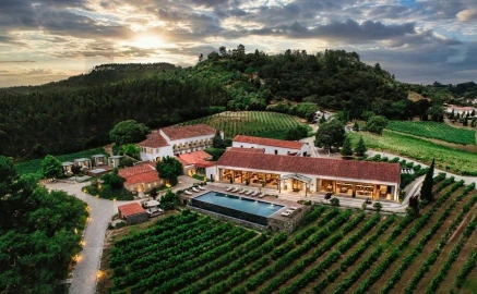 Quinta T20 para Venda em Nossa Senhora da Piedade