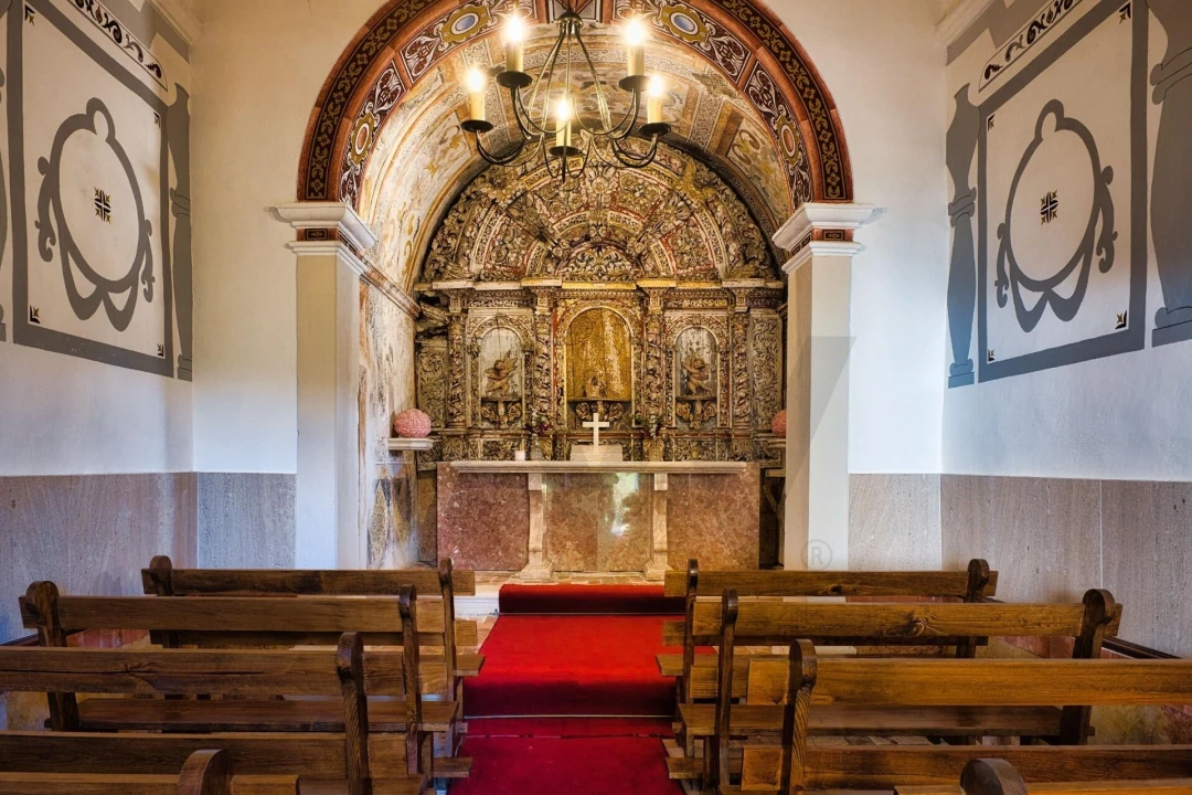 Quinta T20 para Venda em Nossa Senhora das Misericordias Foto 31