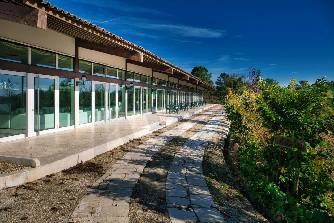 Quinta T20 para Venda em Nossa Senhora das Misericordias Foto 48