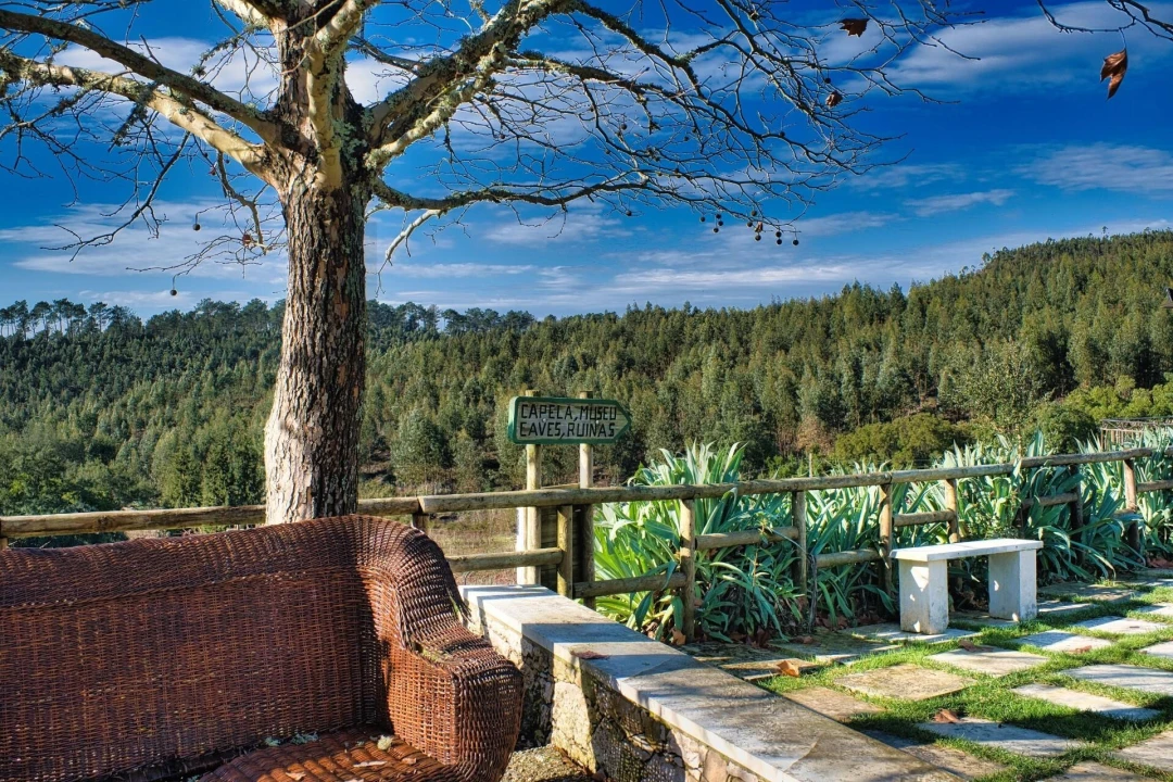 Quinta T20 para Venda em Nossa Senhora das Misericordias Foto 38