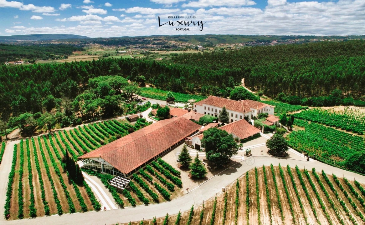 Quinta T20 para Venda em Nossa Senhora das Misericordias Foto 2