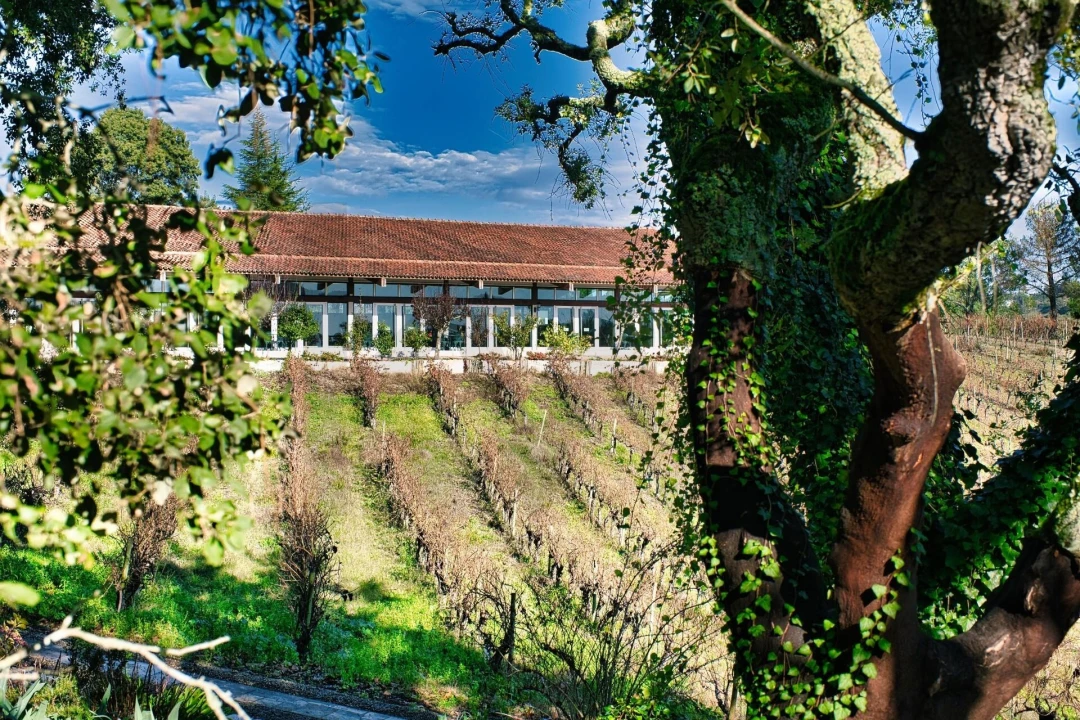 Quinta T20 para Venda em Nossa Senhora das Misericordias Foto 46