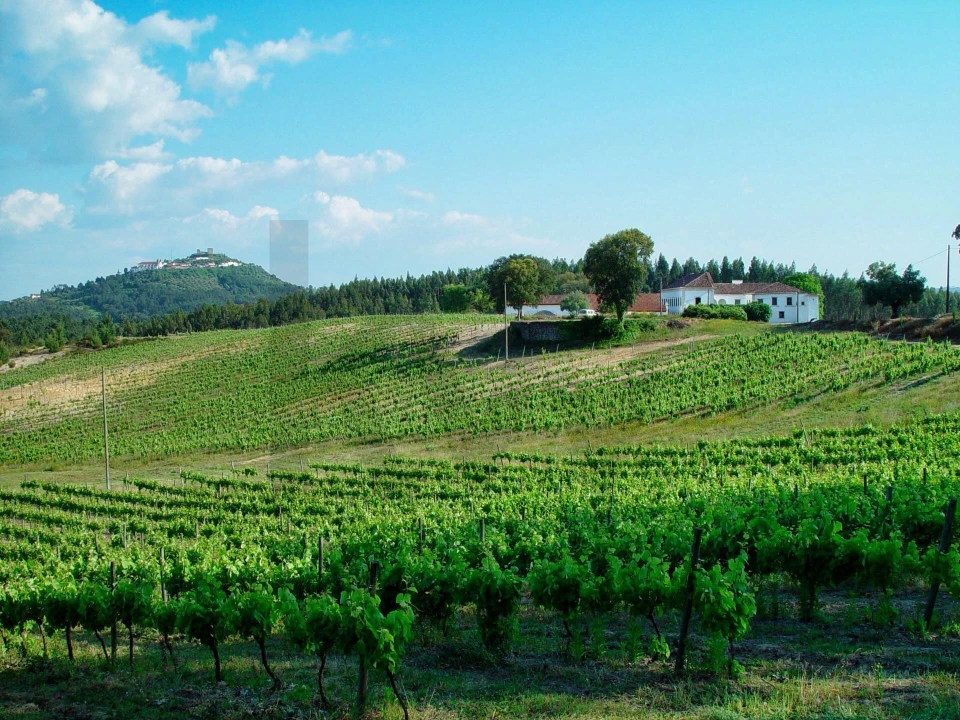 Quinta T20 para Venda em Nossa Senhora das Misericordias Foto 5