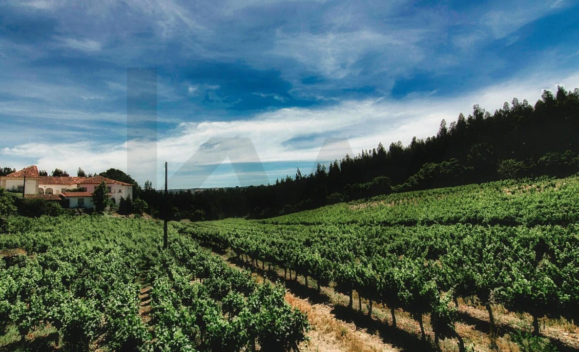 Quinta T20 para Venda em Nossa Senhora das Misericordias Foto 6