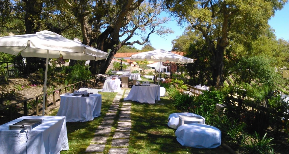 Quinta T20 para Venda em Nossa Senhora das Misericordias Foto 66