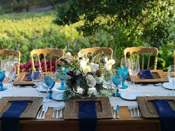 Quinta T20 para Venda em Nossa Senhora das Misericordias Foto 67