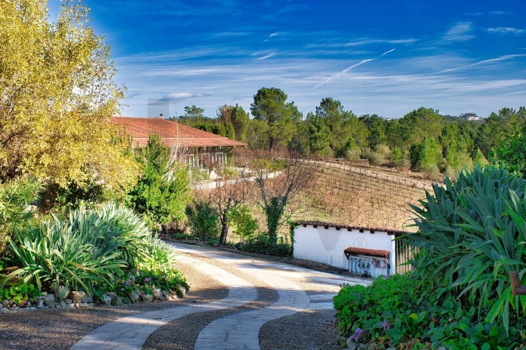 Quinta T20 para Venda em Nossa Senhora das Misericordias Foto 39