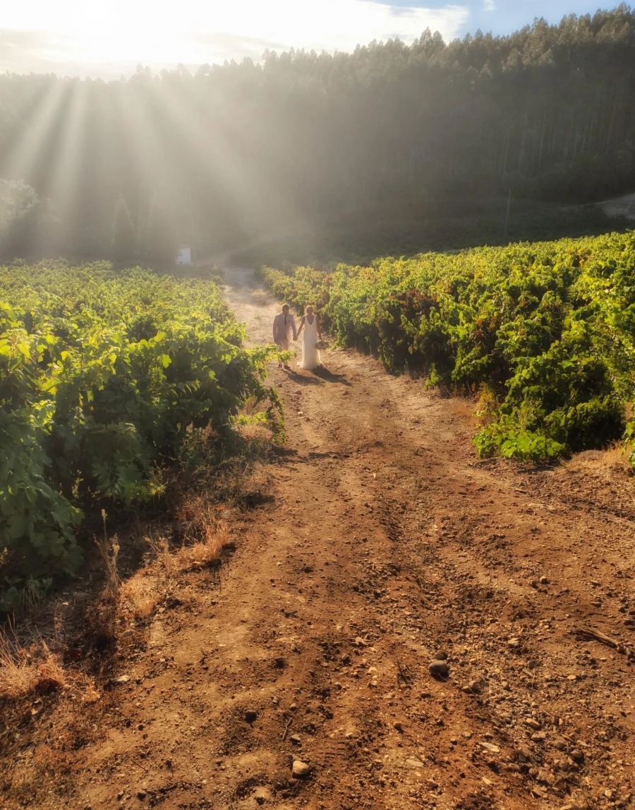 Quinta T20 para Venda em Nossa Senhora das Misericordias Foto 71