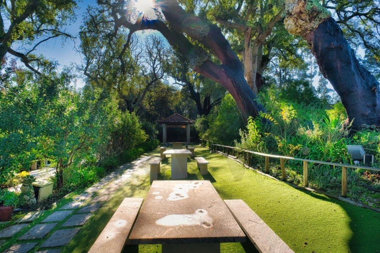 Quinta T20 para Venda em Nossa Senhora das Misericordias Foto 41