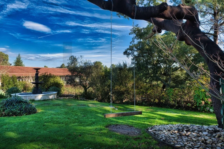 Quinta T20 para Venda em Nossa Senhora das Misericordias Foto 40