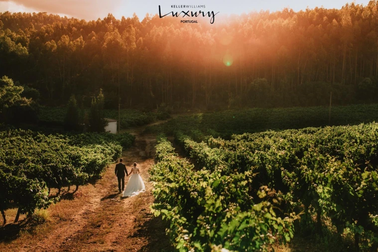 Quinta T20 para Venda em Nossa Senhora das Misericordias Foto 68