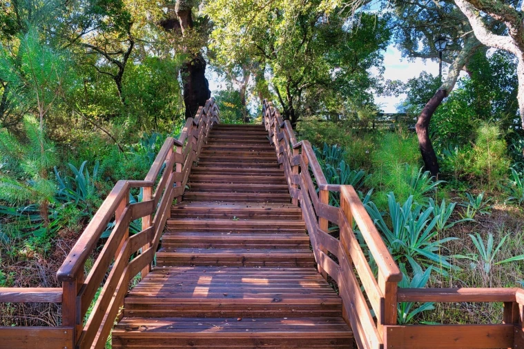 Quinta T20 para Venda em Nossa Senhora das Misericordias Foto 44