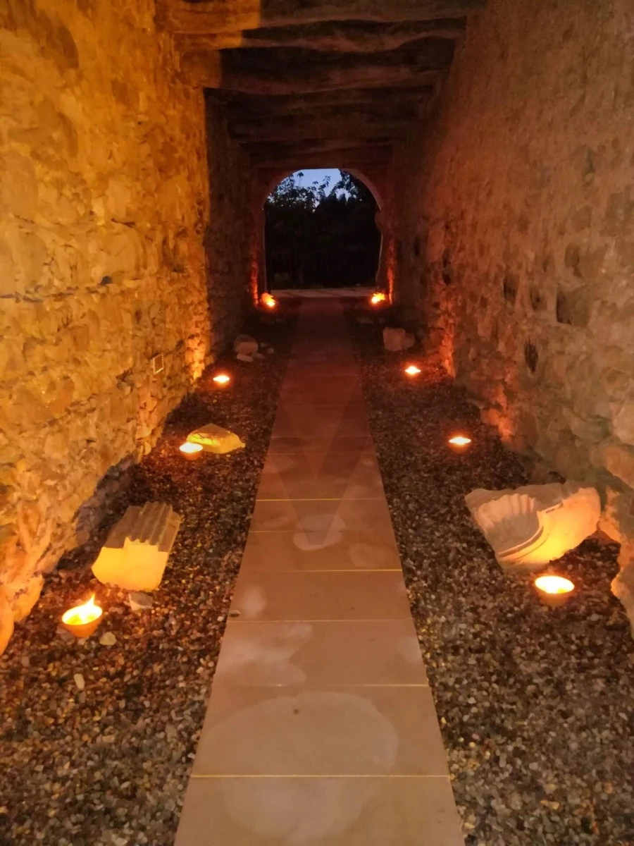 Quinta T20 para Venda em Nossa Senhora das Misericordias Foto 75