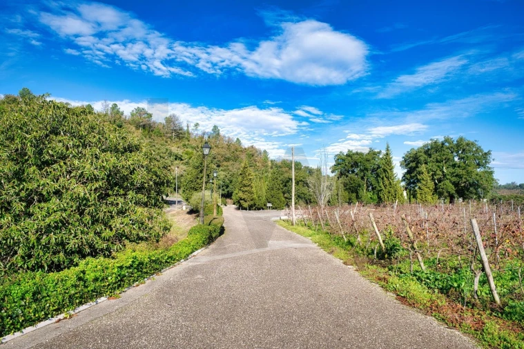 Quinta T20 para Venda em Nossa Senhora das Misericordias Foto 10