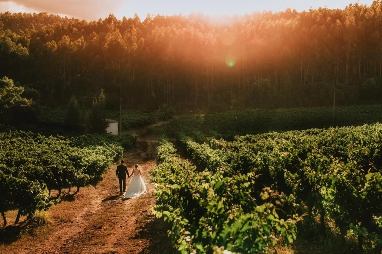 Quinta T20 para Venda em Nossa Senhora das Misericordias Foto 70