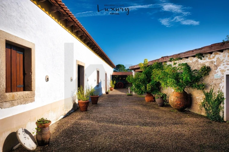 Quinta T20 para Venda em Nossa Senhora das Misericordias Foto 21