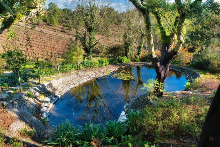 Quinta T20 para Venda em Nossa Senhora das Misericordias Foto 43