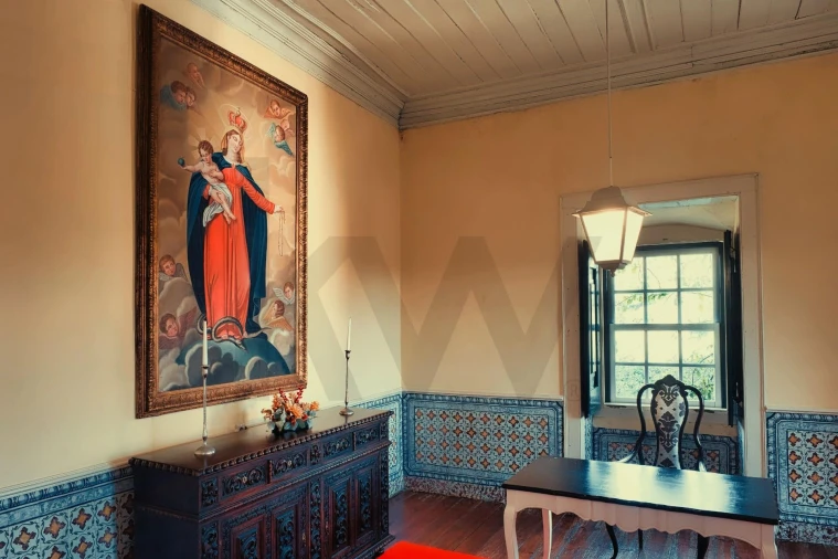 Quinta T20 para Venda em Nossa Senhora das Misericordias Foto 36