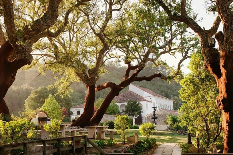 Quinta T20 para Venda em Nossa Senhora das Misericordias Foto 45