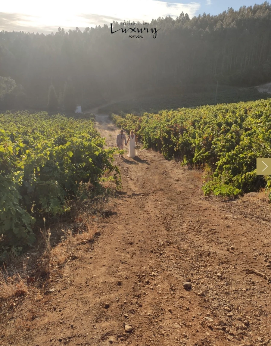 Quinta T20 para Venda em Nossa Senhora das Misericordias Foto 67