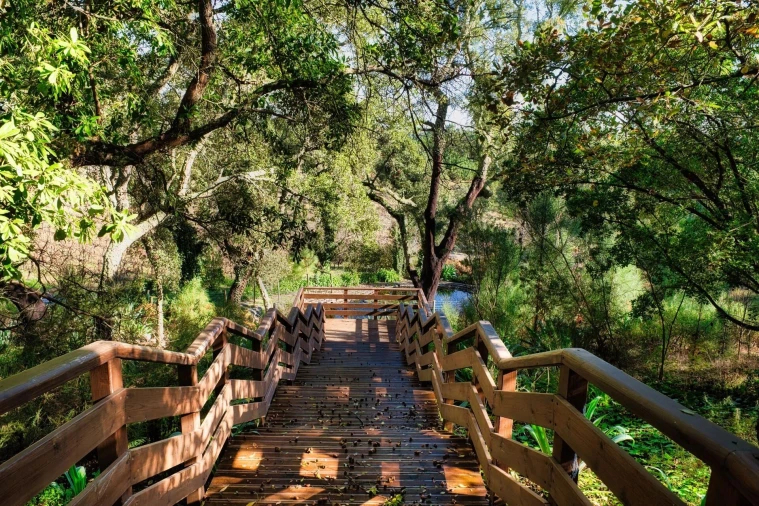 Quinta T20 para Venda em Nossa Senhora das Misericordias Foto 42