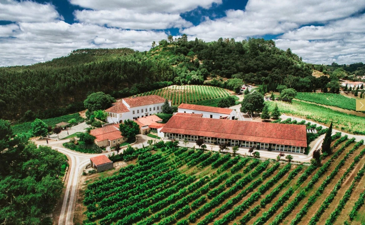 Quinta T20 para Venda em Nossa Senhora das Misericordias Foto 1