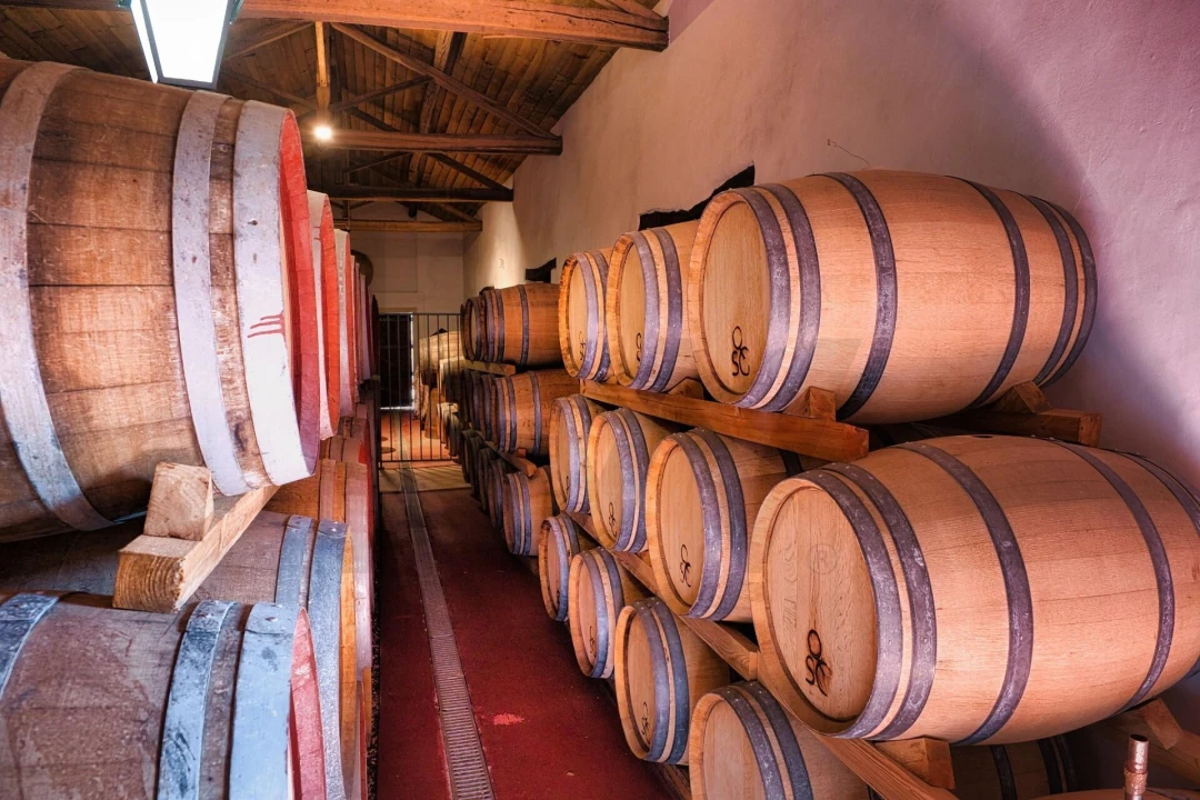 Quinta T20 para Venda em Nossa Senhora das Misericordias Foto 27