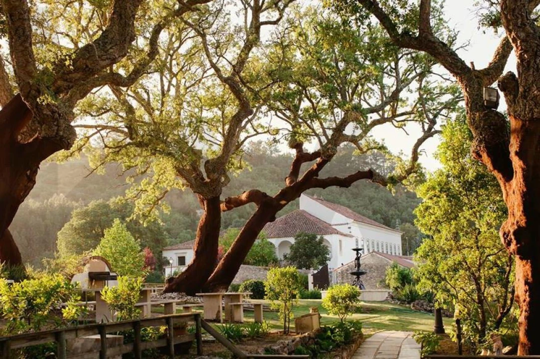 Quinta T20 para Venda em Nossa Senhora das Misericordias Foto 45