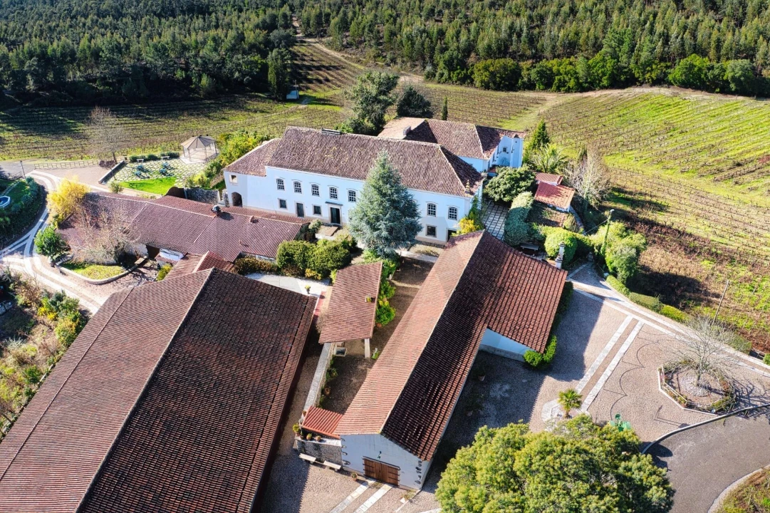 Quinta T20 para Venda em Nossa Senhora das Misericordias Foto 3