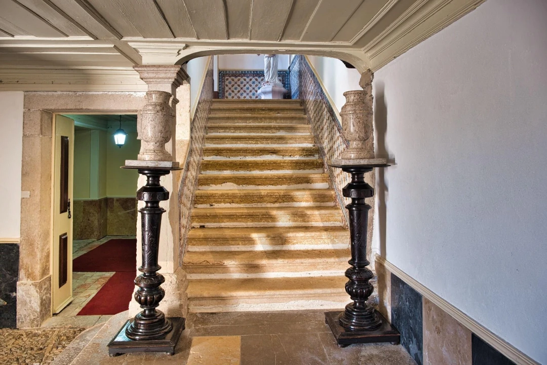 Quinta T20 para Venda em Nossa Senhora das Misericordias Foto 30