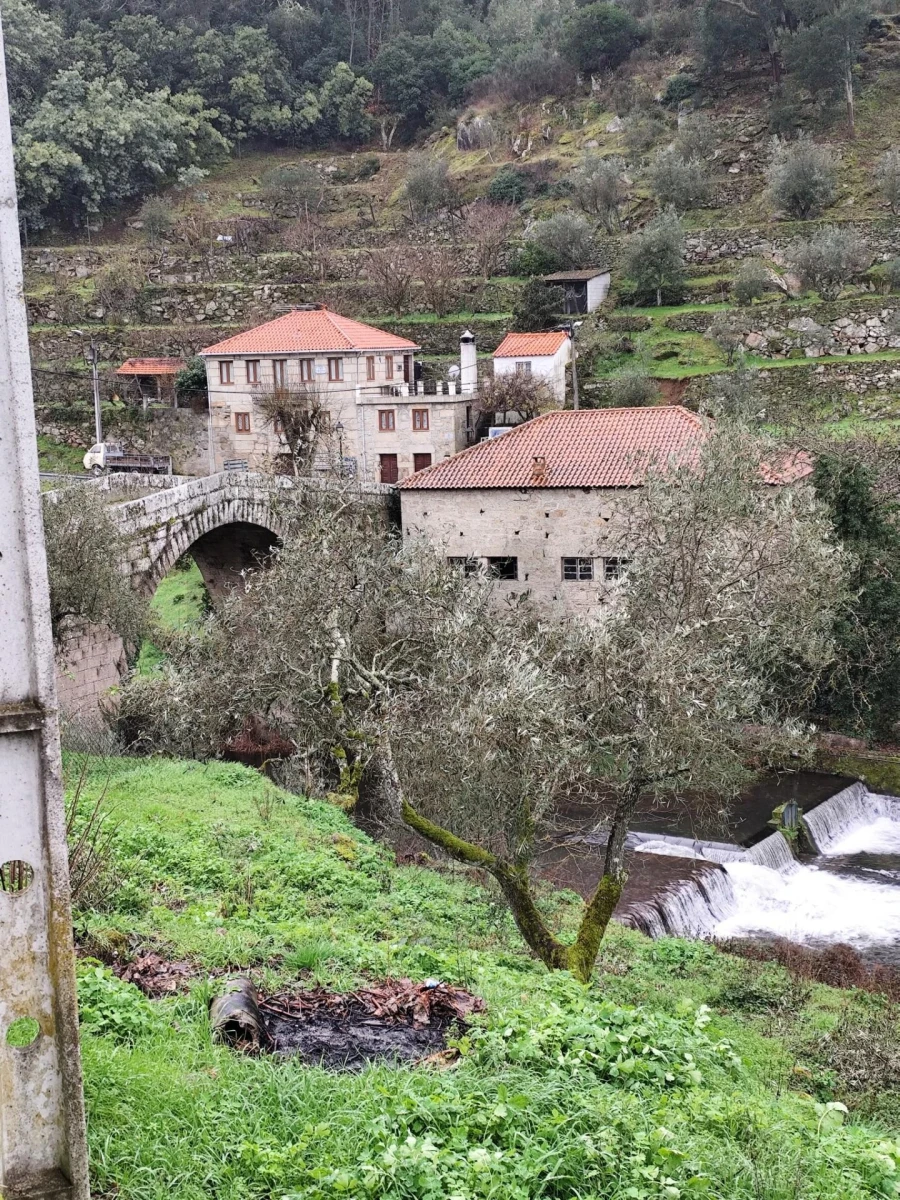 Moradia T4 para Venda em Granja do Tedo Foto 6