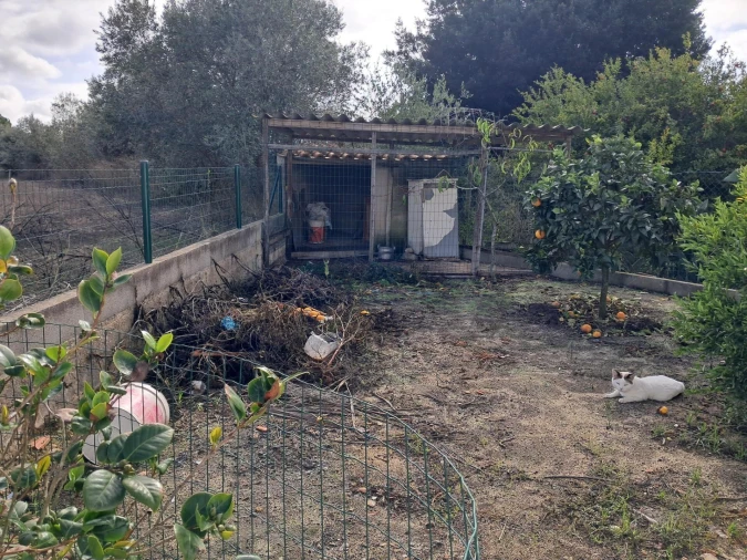 Moradia T2 para Venda em Melides Foto 8