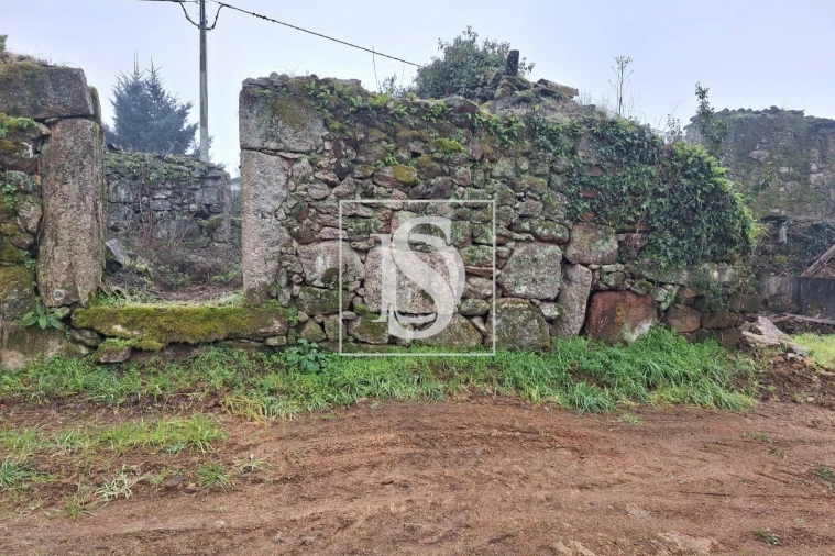 Terreno para Venda em Tondela e Nandufe Foto 8