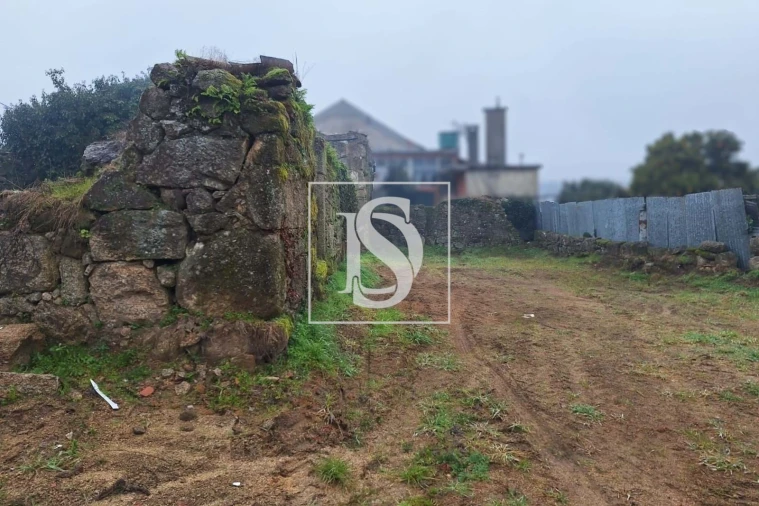 Terreno para Venda em Tondela e Nandufe Foto 5