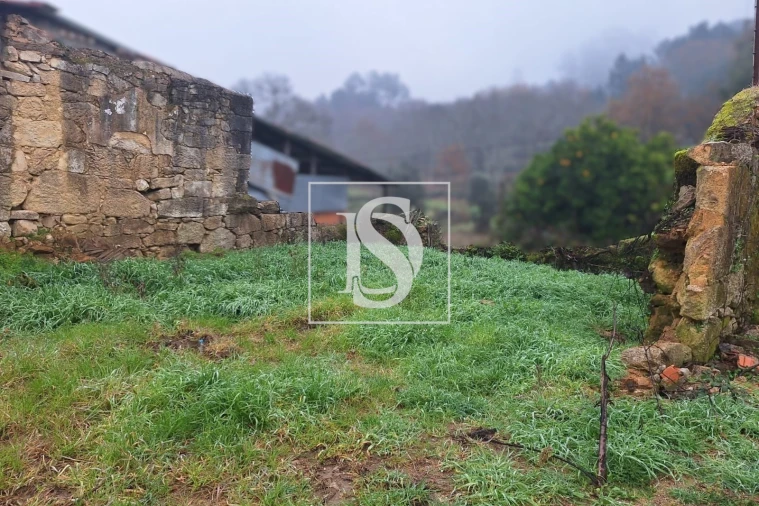 Terreno para Venda em Tondela e Nandufe Foto 3