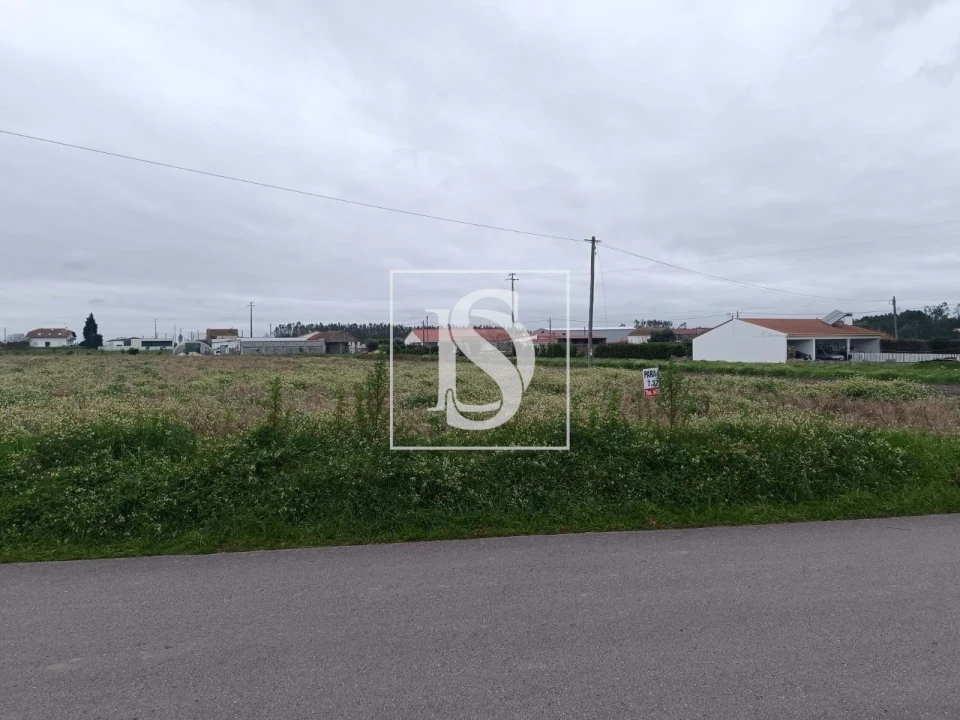 Terreno para Venda em Louriçal Foto 4