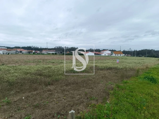 Terreno para Venda em Louriçal Foto 3