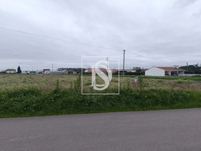 Terreno para Venda em Louriçal Foto 4