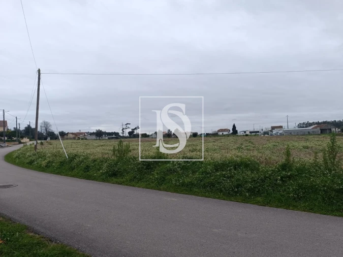 Terreno para Venda em Louriçal Foto 5