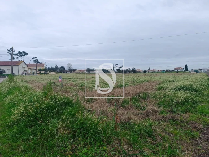 Terreno para Venda em Louriçal Foto 6