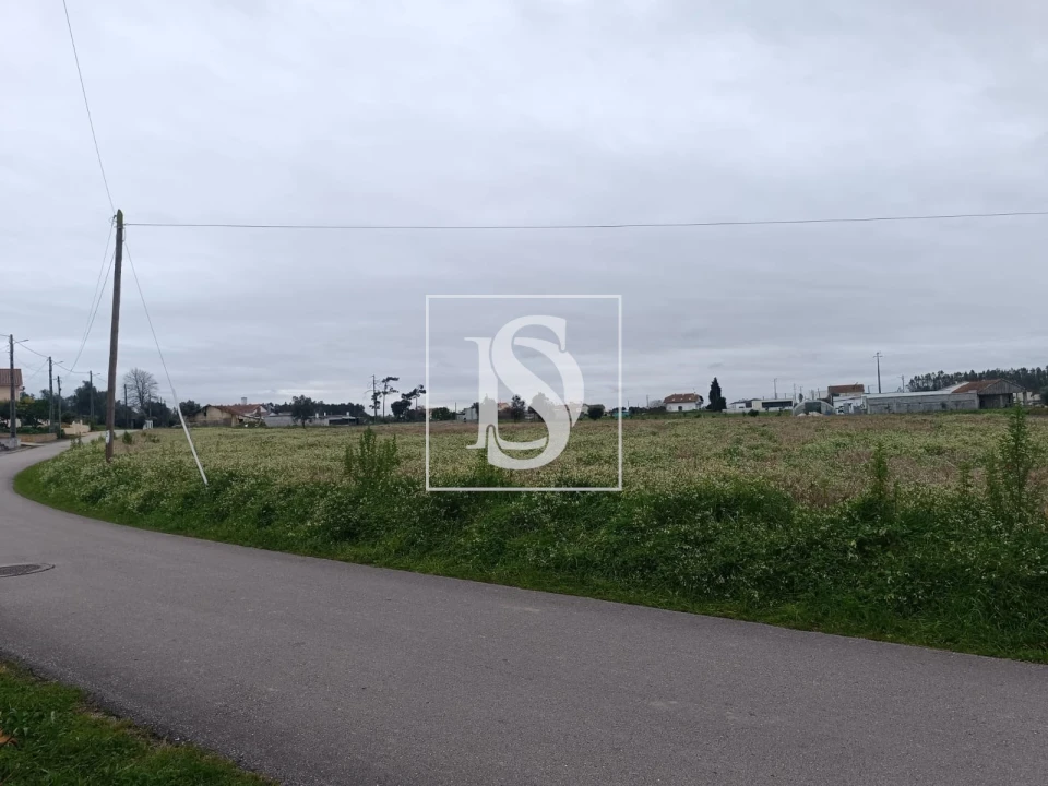 Terreno para Venda em Louriçal Foto 5