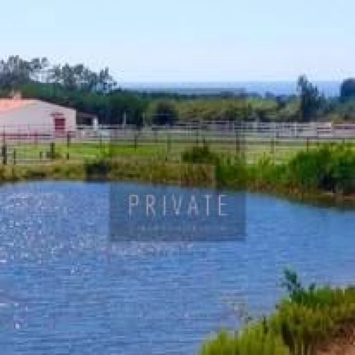 Quinta T8 para Venda em São Teotónio Foto 17