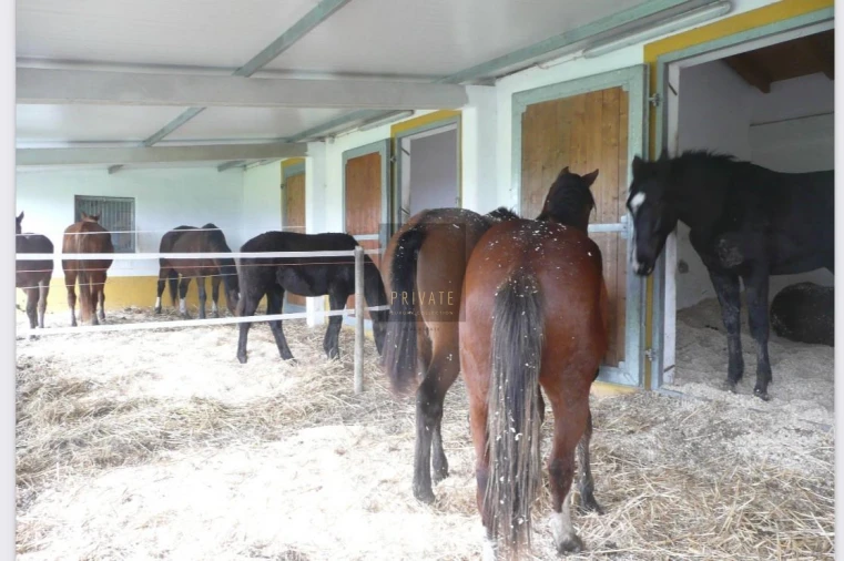 Quinta T8 para Venda em São Teotónio Foto 13