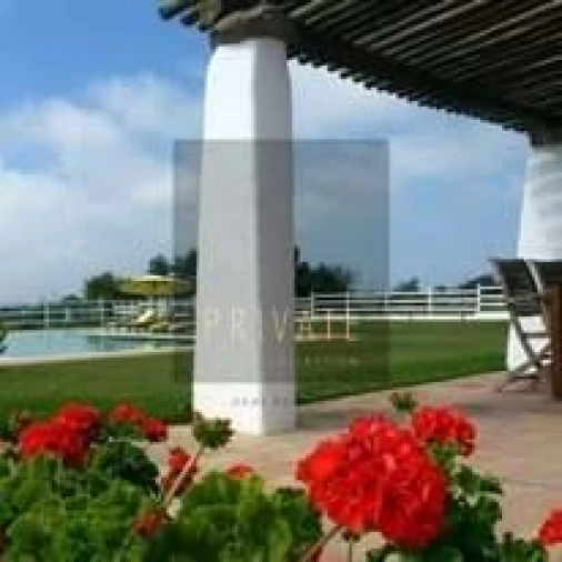 Quinta T8 para Venda em São Teotónio Foto 22