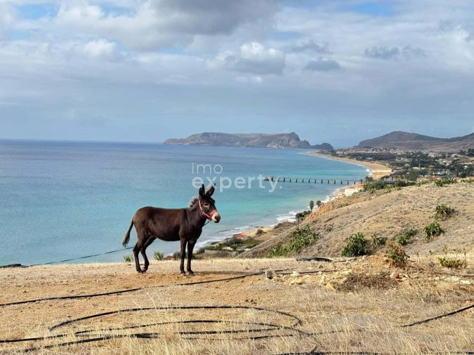 Terreno para Venda em Porto Santo Foto 5