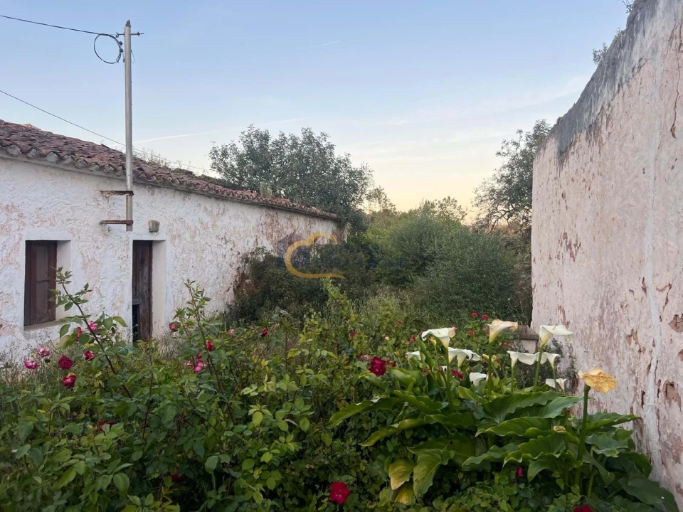 Terreno para Venda em Alte Foto 3