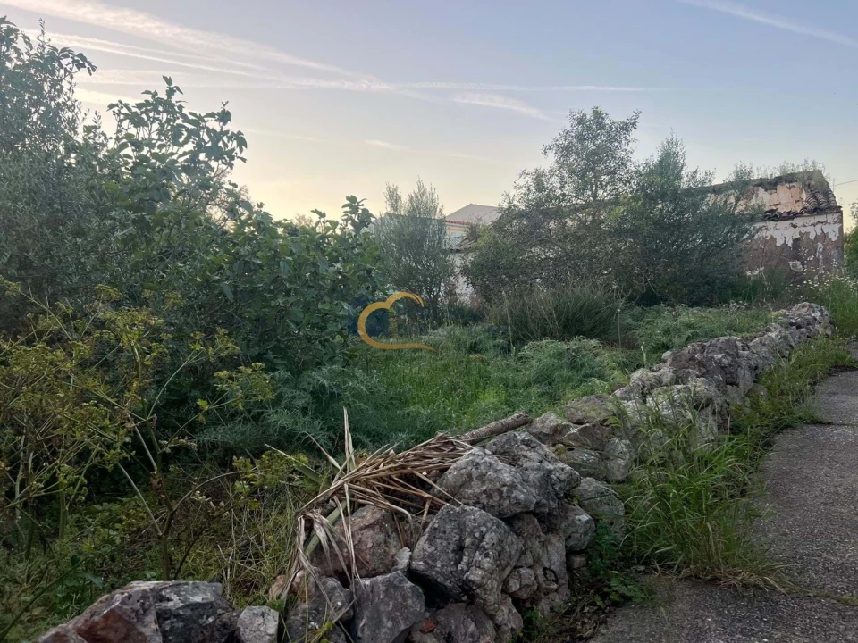 Terreno para Venda em Alte Foto 6