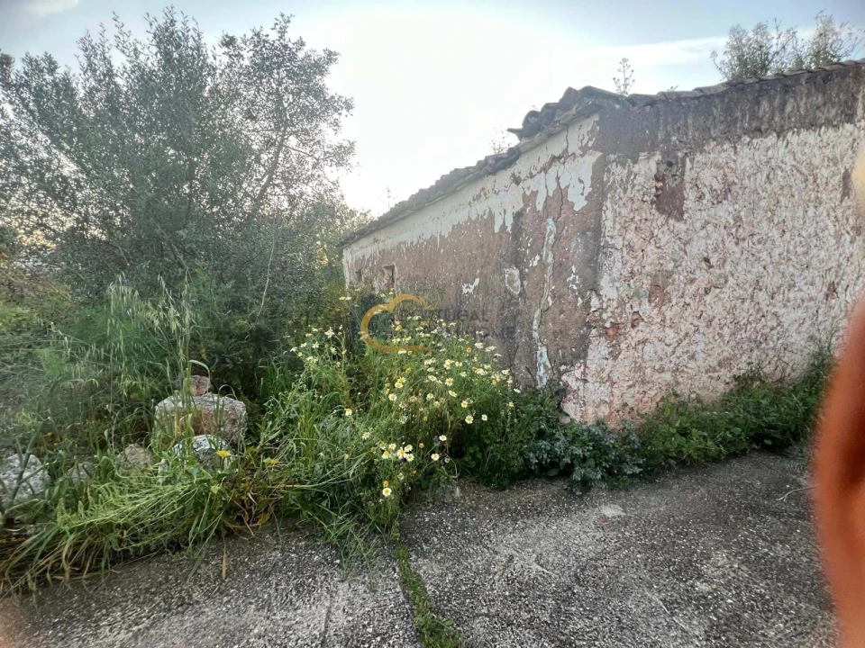 Terreno para Venda em Alte Foto 9